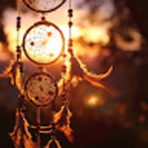 Meet your Posher, Kendal